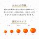 �²λ����� ������ L~3L ������ 10kg ��