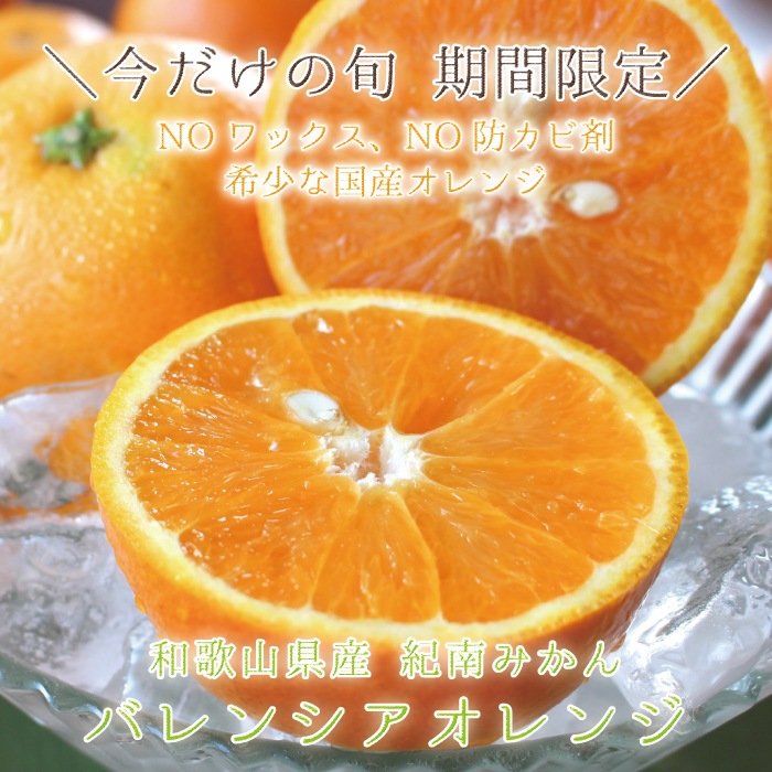 �� �Х�󥷥������ �� L/2L/3L������ 5kg ��     ��������
