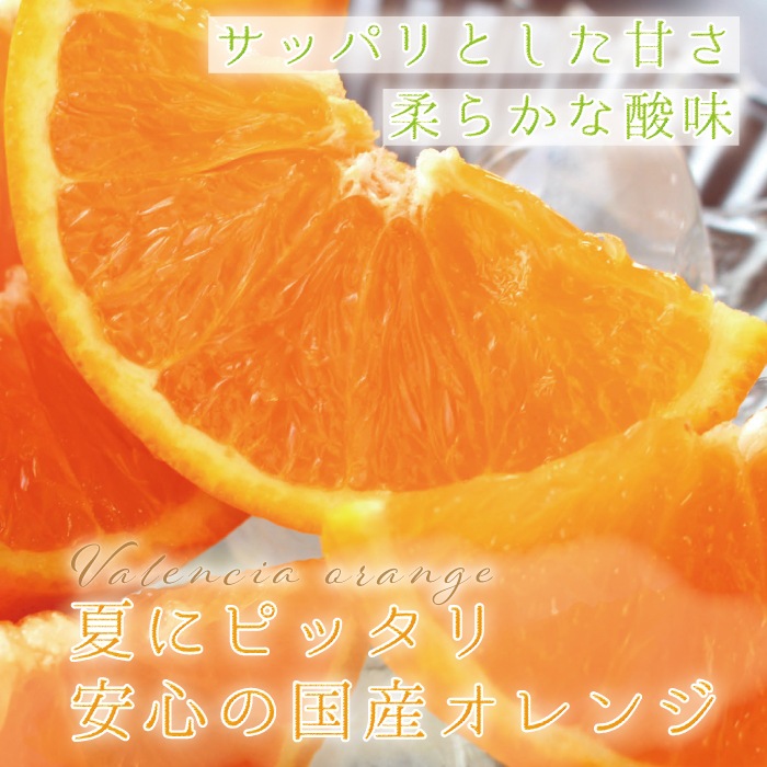 �� �Х�󥷥������ �� L/2L/3L������ 5kg ��     ��������
