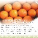 �� �Х�󥷥������ �� L/2L/3L������ 5kg ��     ��������