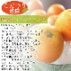 �� �Х�󥷥������ �� L/2L/3L������ 5kg ��     ��������