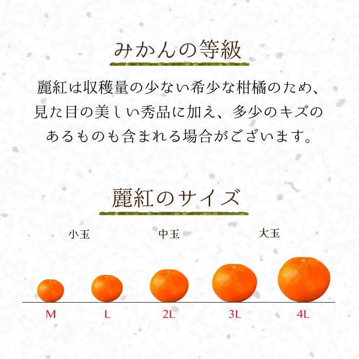 �²λ����� ��ȡ� L~3L ������ 3kg ��