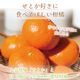 �²λ����� ��ȡ� L~3L ������ 3kg ��