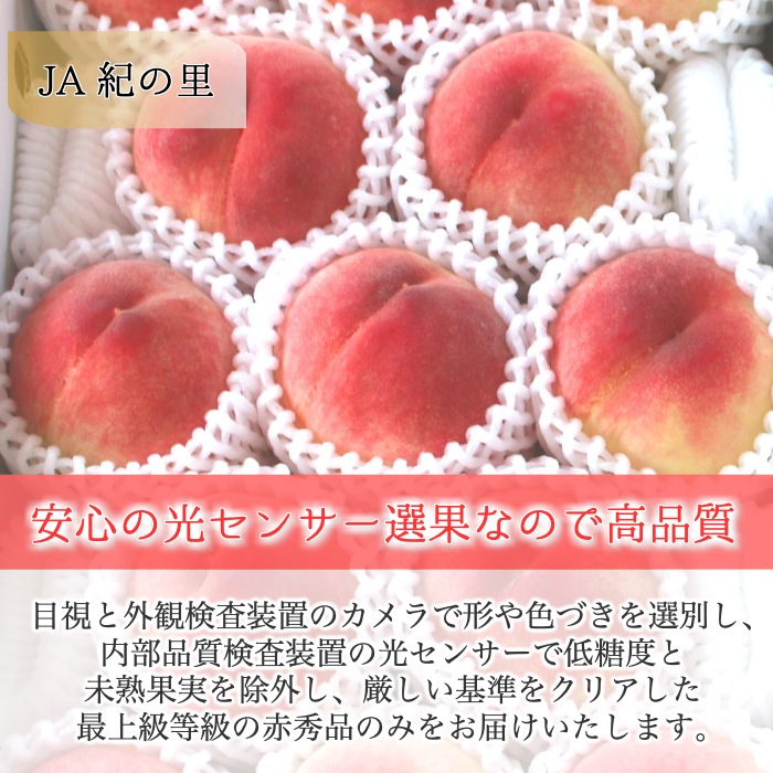 ��������� ���ֽ��� ��� �������� ��2kg��