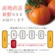 �²λ����� ��ȡ� L~3L ������ 5kg ��
