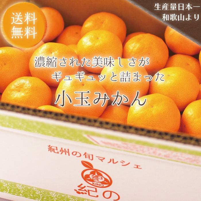 ���̤ߤ����10kg�ۤ�������