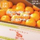 ���̤ߤ����10kg�ۤ�������