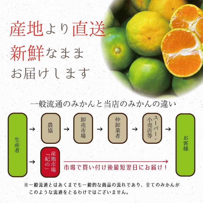 ������ �ߤ��� YN26 ����̵�� �� ���� M ������ 3kg ��