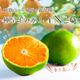 ������ �ߤ��� YN26 ����̵�� �� ���� M ������ 3kg ��