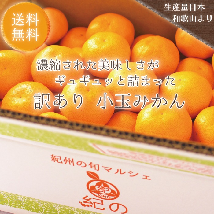 ���̤ߤ����5kg�ߣ�Ȣ�ۤ�������