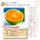 ������ �ߤ��� YN26 ����̵�� �� ���� M ������ 5kg ��