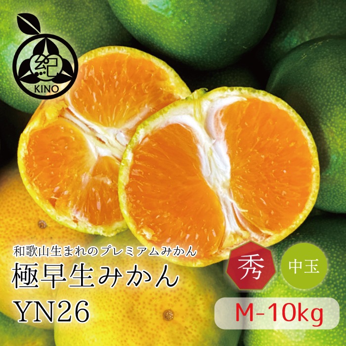 ������ �ߤ��� YN26 ����̵�� �� ���� M ������ 10kg ��