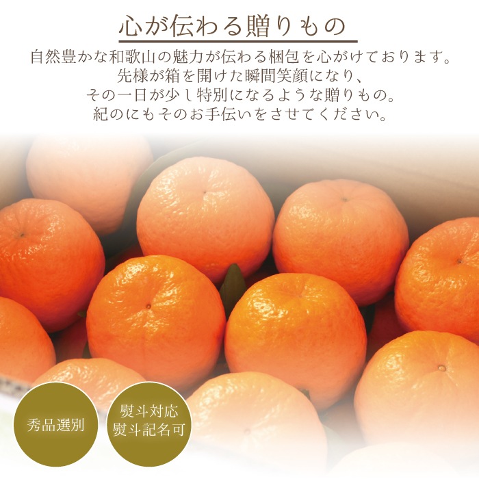 ���� �ݥ󥫥� ����̵�� �ڽ��� L ������ 3kg��