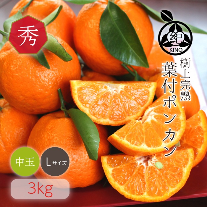 ���� �ݥ󥫥� ����̵�� �ڽ��� L ������ 3kg��