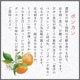���� �ݥ󥫥� ����̵�� �ڽ��� L ������ 3kg��