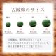 �²λ����� �ž��� �������� ����̵�� <br>�� L ������ 5kg ��