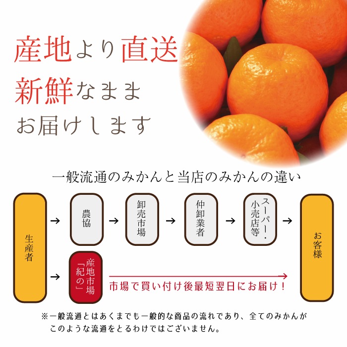 ���� �ݥ󥫥� ����̵�� �ڽ��� L ������ 5kg��