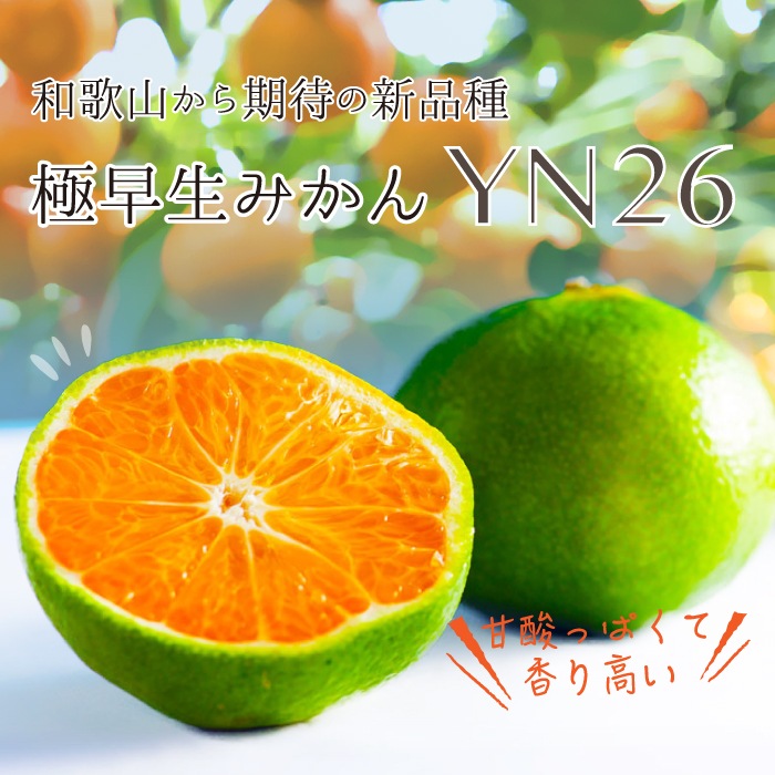 ������ �ߤ��� YN26 ����̵�� �� ���� S ������ 5kg ��