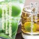 �²λ����� �ž��� �������� ����̵�� <br>�� 2L ������ 2kg ��