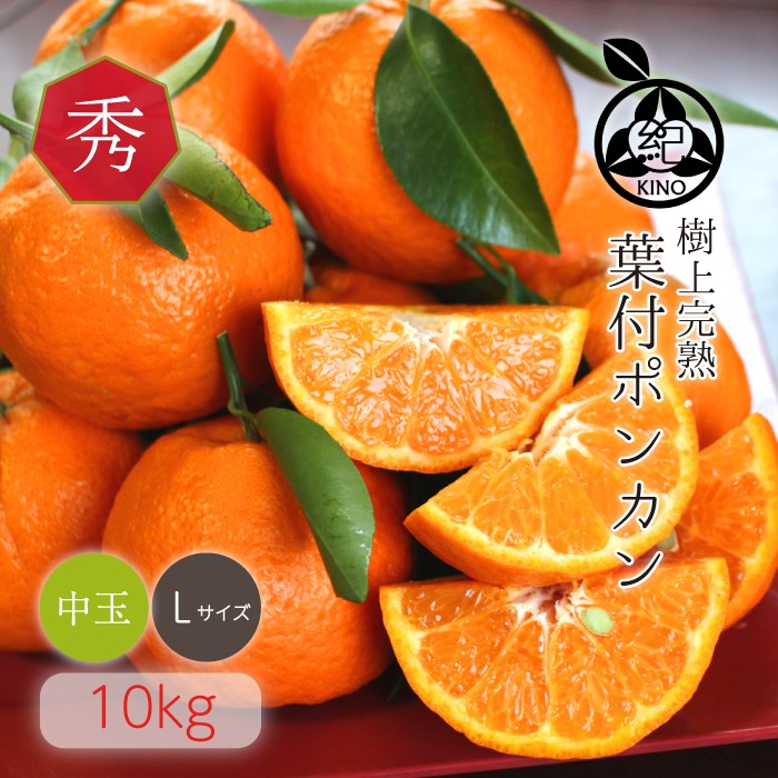 ���� �ݥ󥫥� ����̵�� �ڽ��� L ������ 10kg��