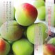 ����� ���� �ܾ쵪���� �������� ����̵��<br> �� 3L ������ 2kg �� 
