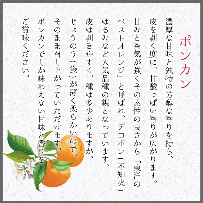 ���� �ݥ󥫥� ����̵�� ¿���������ꤴ������ 5kg