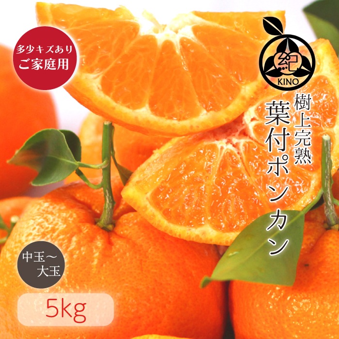 ���� �ݥ󥫥� ����̵�� ¿���������ꤴ������ 5kg