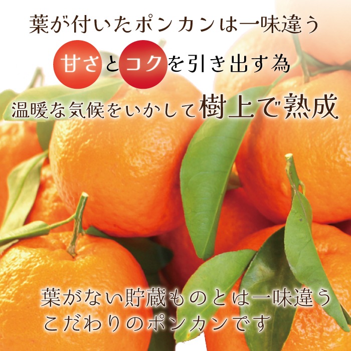 ���� �ݥ󥫥� ����̵�� �ڽ��� 2L ������ 5kg��