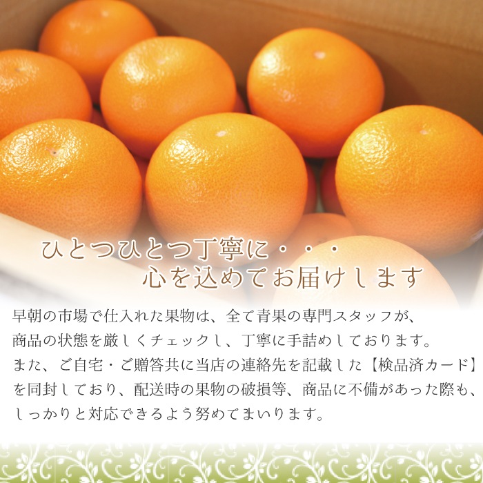 ��Ȭ��� ���� L ������(��̡�10kg ��