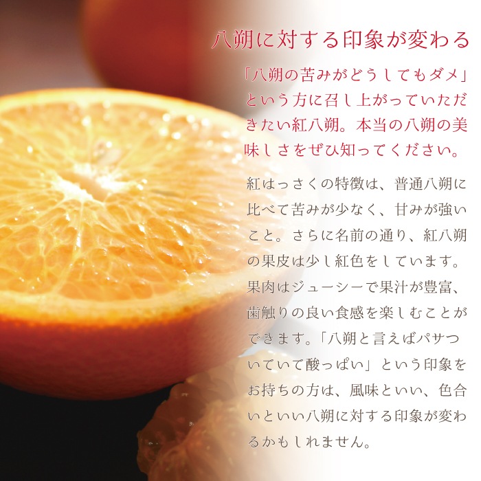 ��Ȭ��� ���� L ������(��̡�10kg ��