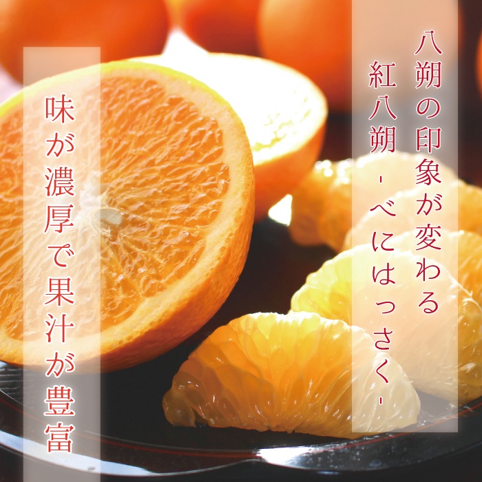 ��Ȭ��� ���� L ������(��̡ˣ�kg ��