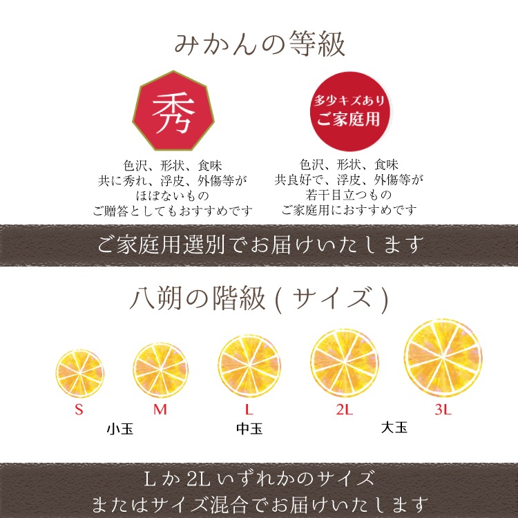 ��Ȭ��� L/2L ������ 5kg �ۤ�������