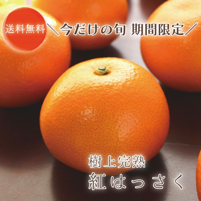 ��Ȭ��� L/2L ������ 10kg �ۤ�������