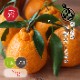 ���βС�����̤��� �ڽ���L/��L����������̡ˡ���kg��