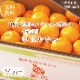 �����ߤ����M������ 3kg��3Ȣ�ۤ�������