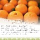 ���βС�����̤��� �ڽ��ʣ�L����������̡ˡ���kg��