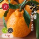 ���βС�����̤��� �ڽ��ʣ�L����������̡ˡ���kg��