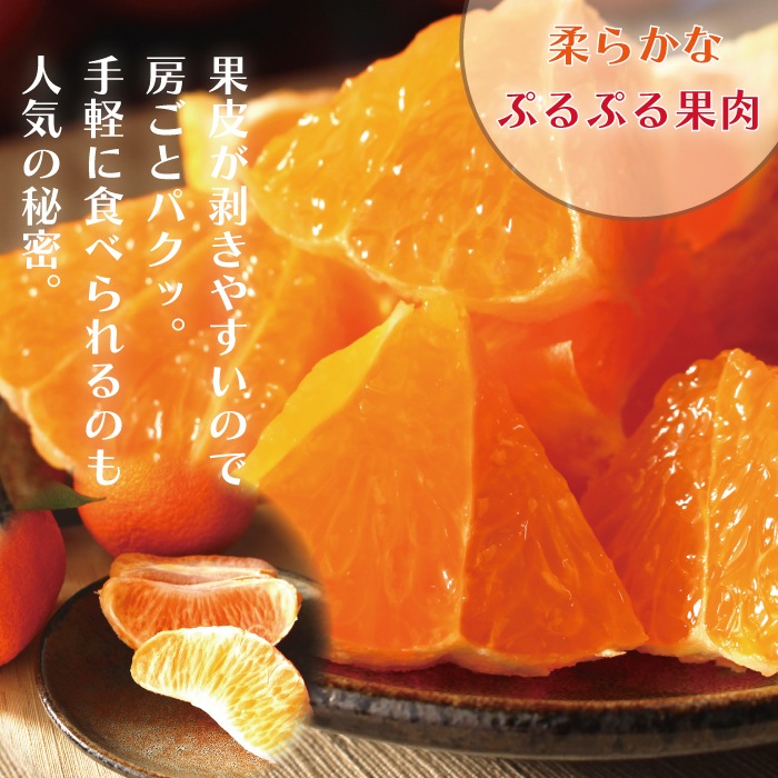 ���βС�����̤��� �ڽ��ʣ�L����������̡ˡ�10kg��