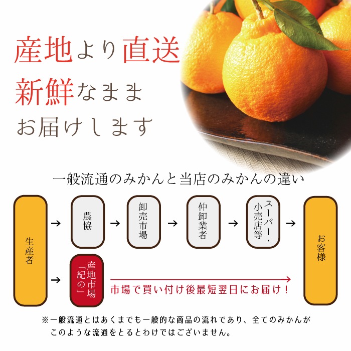 ���βС�����̤��� �ڽ��ʣ�L����������̡ˡ�10kg��
