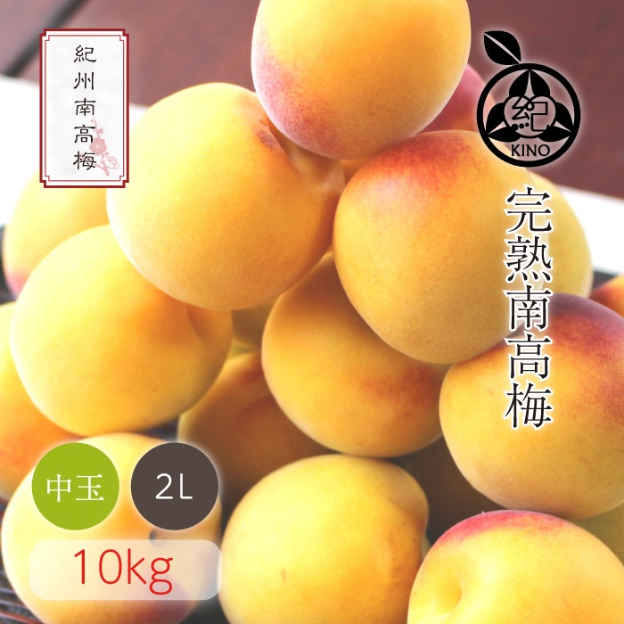 紀州・和歌山産 ”南高梅 完熟” 秀品 4L 約10kg【予約 6月以降