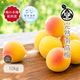 ����� ���� �ܾ쵪���� �������� ����̵��<br>�� 2L ������ 10kg ��