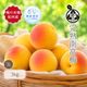 ����� ���� �ܾ쵪���� �������� ����̵��<br>�� 3L ������ 3kg ��