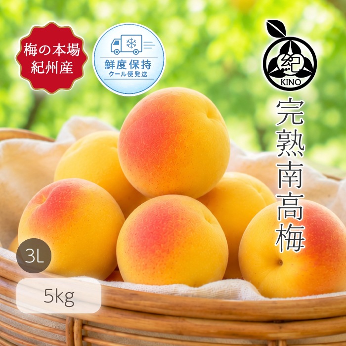 南高梅 完熟 本場紀州産 クール便 送料無料<br>【 3L サイズ 5kg