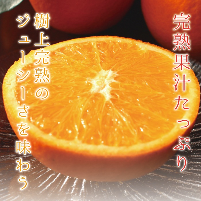 �� �͡��֥�� ���� L/2L/3L�����~��̡˥����� 3kg ��
