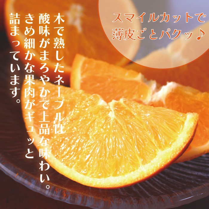 �� �͡��֥�� ���� L/2L/3L�����~��̡˥����� 3kg ��