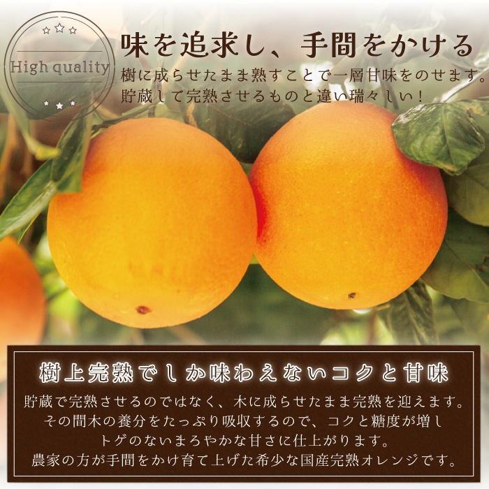 �� �͡��֥�� ���� L/2L/3L�����~��̡˥����� 3kg ��
