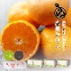 �����ߤ����L������ 5kg��3Ȣ�ۤ�������