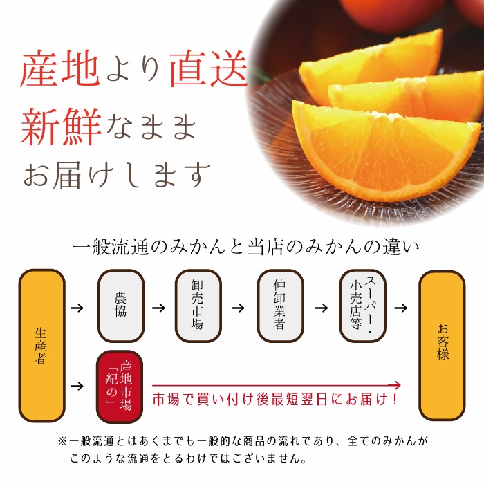 �� �͡��֥�� ���� L/2L/3L�����~��̡˥����� 5kg ��
