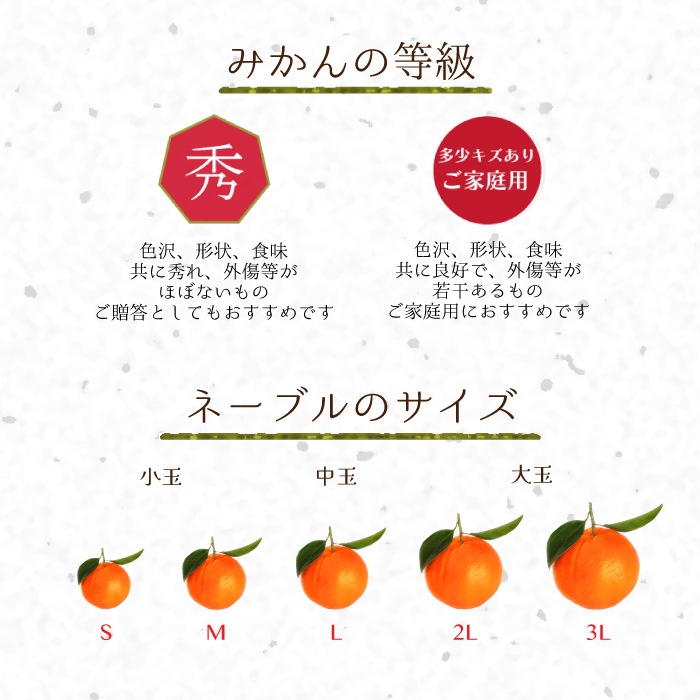�� �͡��֥�� ���� L/2L/3L�����~��̡˥����� 5kg ��