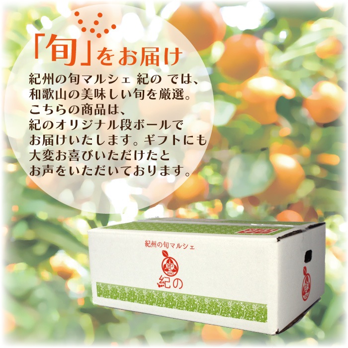 �� �͡��֥�� ���� L/2L/3L�����~��̡˥����� 10kg ��